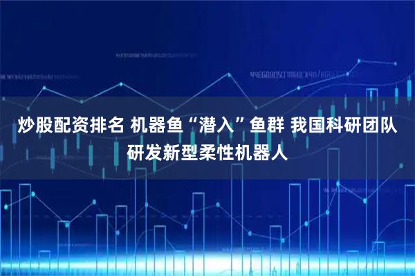 炒股配资排名 机器鱼“潜入”鱼群 我国科研团队研发新型柔性机器人